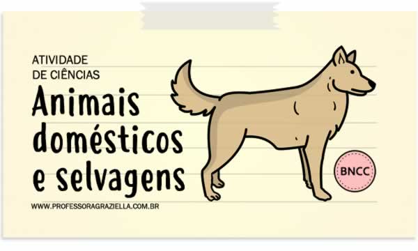 CIENCIAS - animais domesticos e selvagens