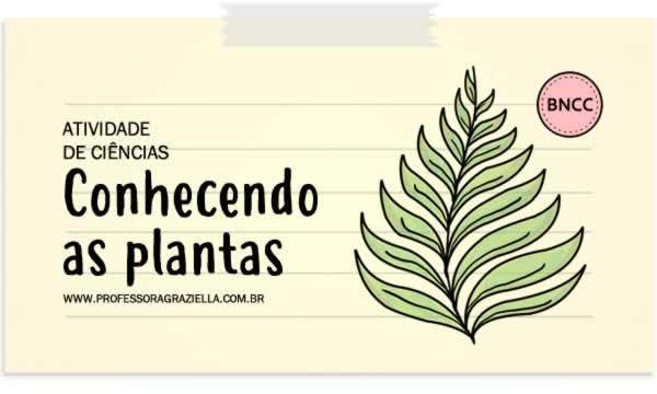 CIENCIAS - conhecendo as plantas