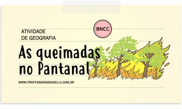 GEOGRAFIA - queimadas no pantanal