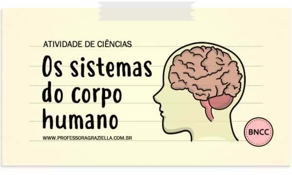 CIENCIAS - sistemas do corpo humano